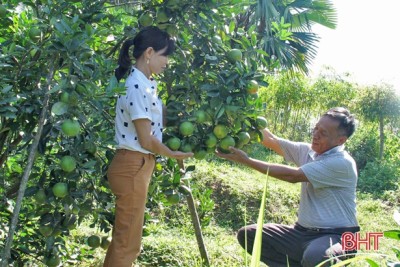 Hương Sơn có hàng ngàn trang trại, gia trại thu nhập khá